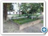 SAM_0720